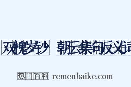 双槐岁钞·朝云集句反义词是什么意思的图片
